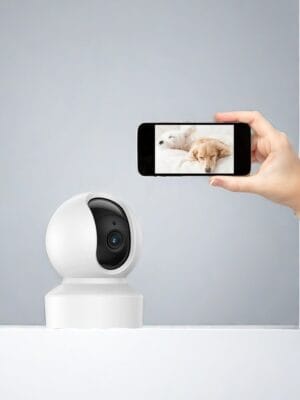 Tuya Smart WiFi-Kamera Panorama-Kreuzfahrt-Tracking Zwei-Wege-Sprechanlage EU-Version
